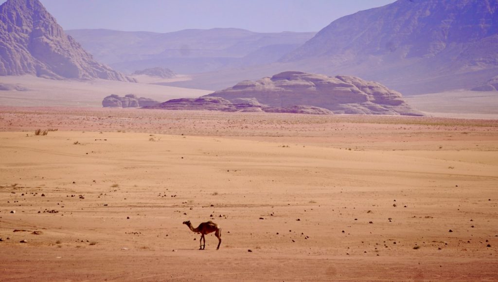 Jordan:  Wadi Rum & Handicraft Photos